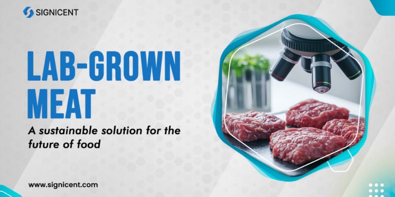 Lab-Grown Meat - A Sustainable Solution for the Future of Food